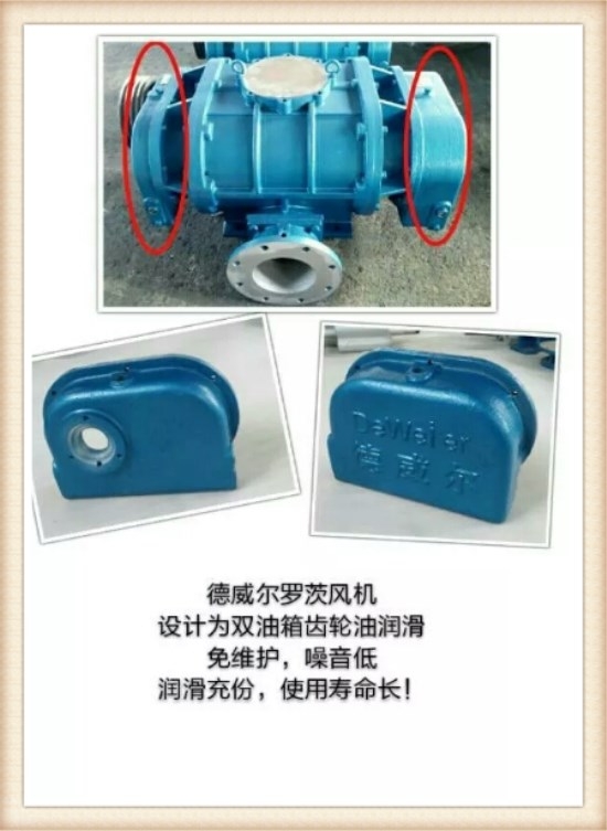 不銹鋼羅茨風(fēng)機設(shè)計為雙油箱 不銹鋼羅茨風(fēng)機設(shè)計為雙油箱